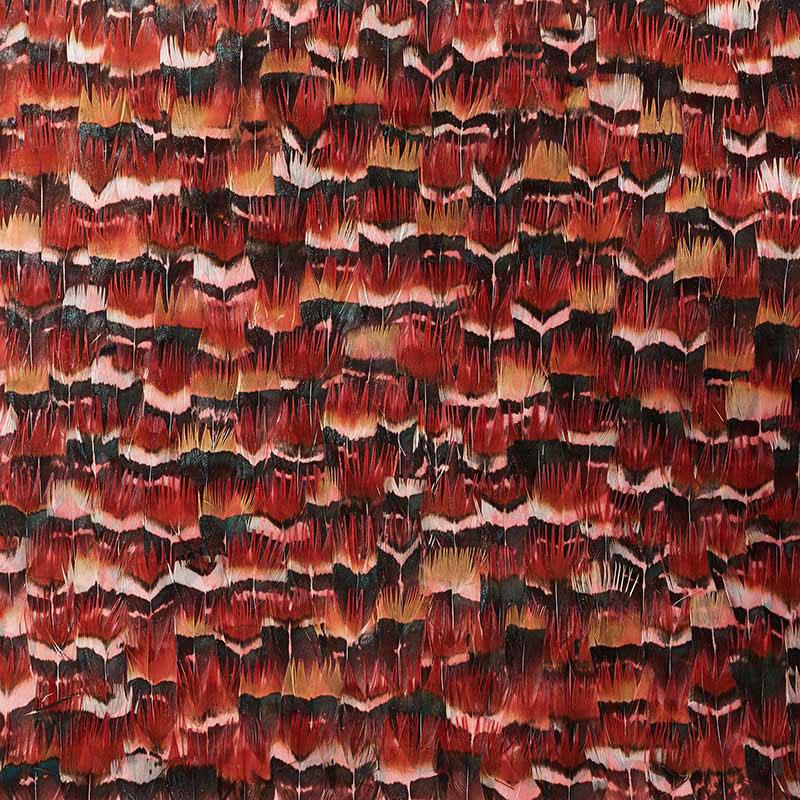 La Plume Royale Real Feather Wallpaper