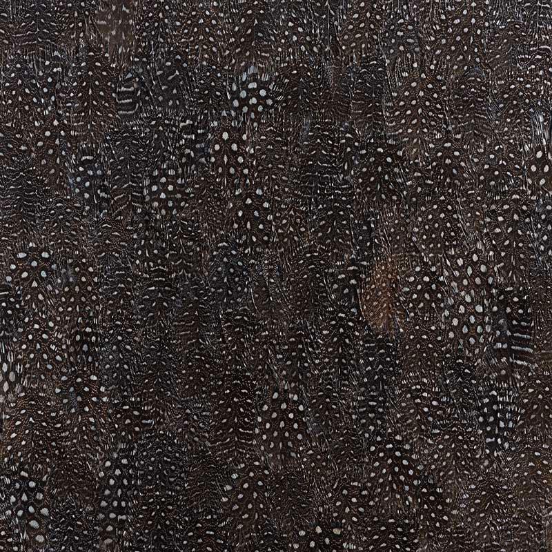 La Plume Royale Real Feather Wallpaper