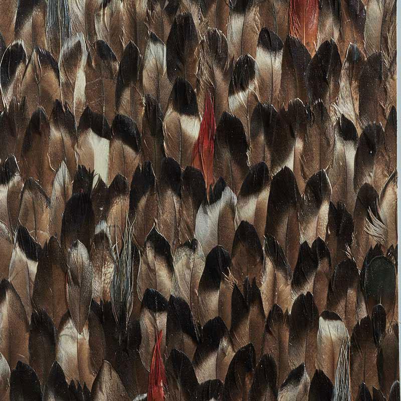 La Plume Royale Real Feather Wallpaper