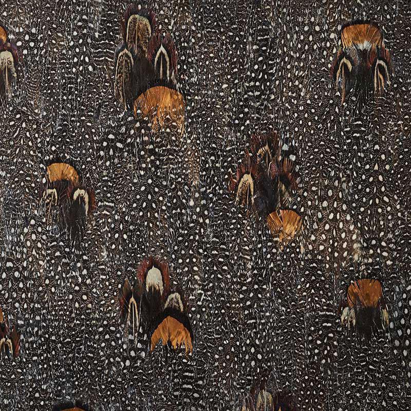 La Plume Royale Real Feather Wallpaper