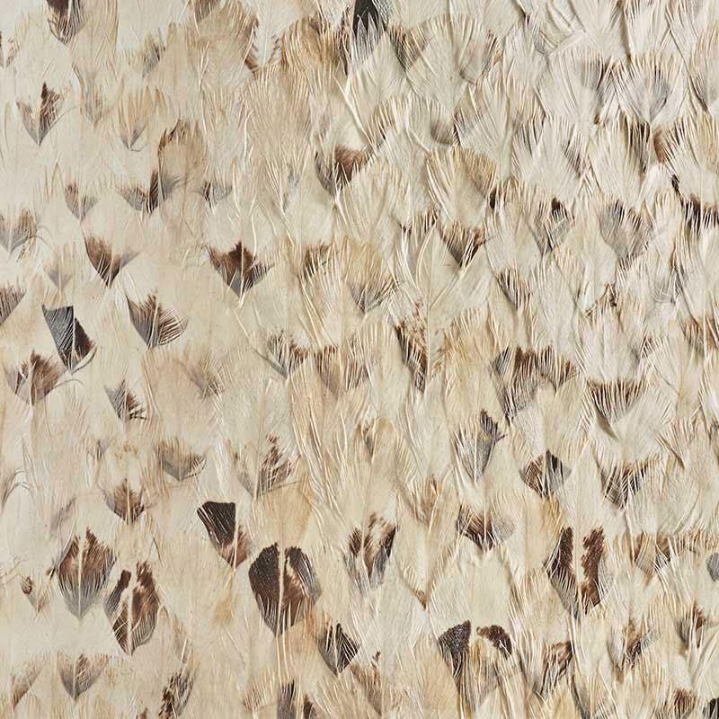 La Plume Royale Real Feather Wallpaper