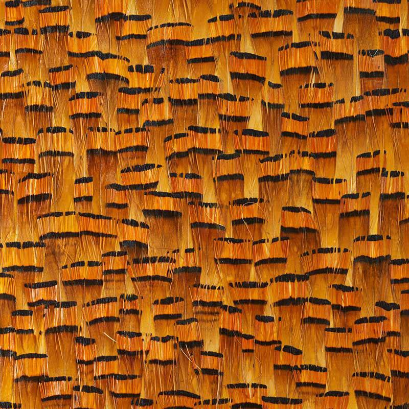 La Plume Royale Real Feather Wallpaper