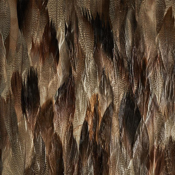 La Plume Royale Real Feather Wallpaper