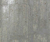 Bella Ravena Wood Metallic Cork Print