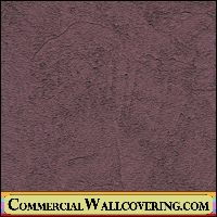 Peter's Plastered Walls