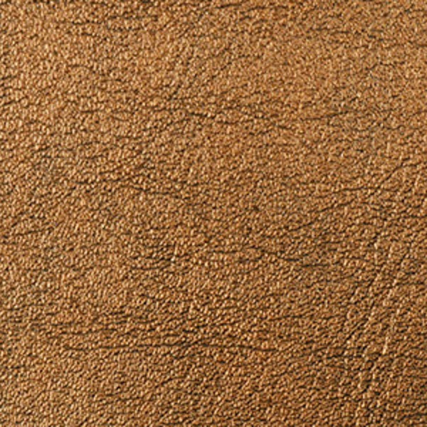 Dinan Leather