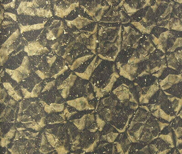 Bella Genoa Cork Print | Phillipe Romano