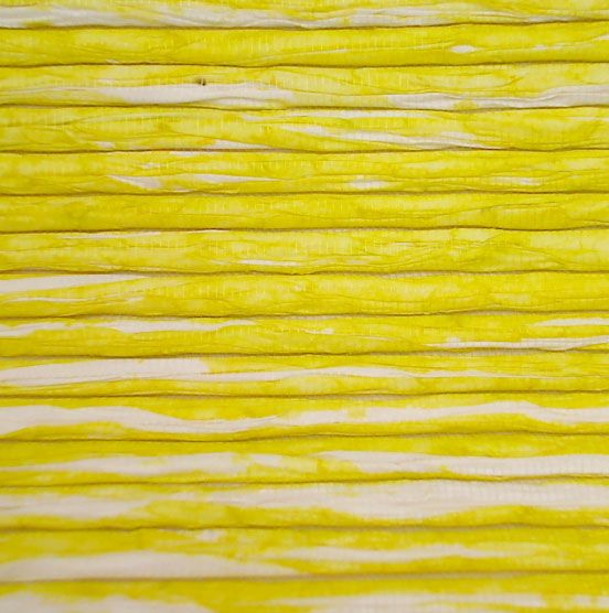 Paper Pleated Walls