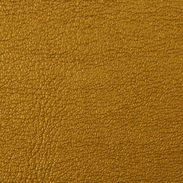 Dinan Leather