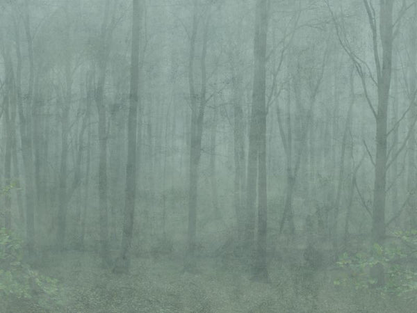 Skog forest green Sample Wallcovering | Sandberg