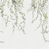 Exclusively at Designer Wallcoverings and Fabrics