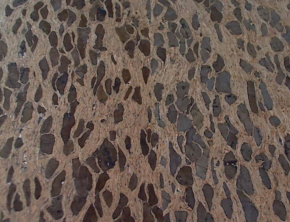 Corkytown Real Cork Wallpaper