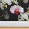 Orla Orchid  Wallpaper