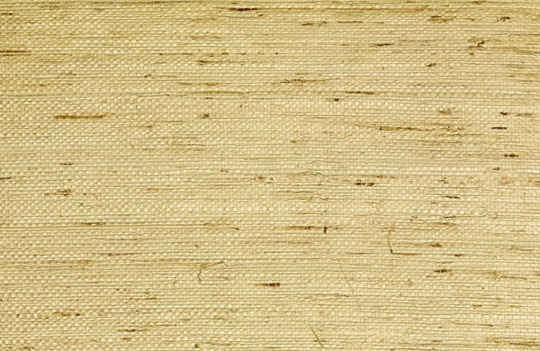 Kaopapa Striated Grasscloth | Phillipe Romano