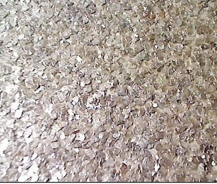 MIllion Dollar MIca Chip Wallpaper | Phillipe Romano