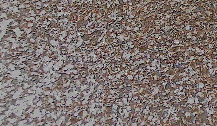 Mica Madness - Real Cork Chip Wallpapers