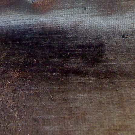 Classic Aged Velvet Fabric