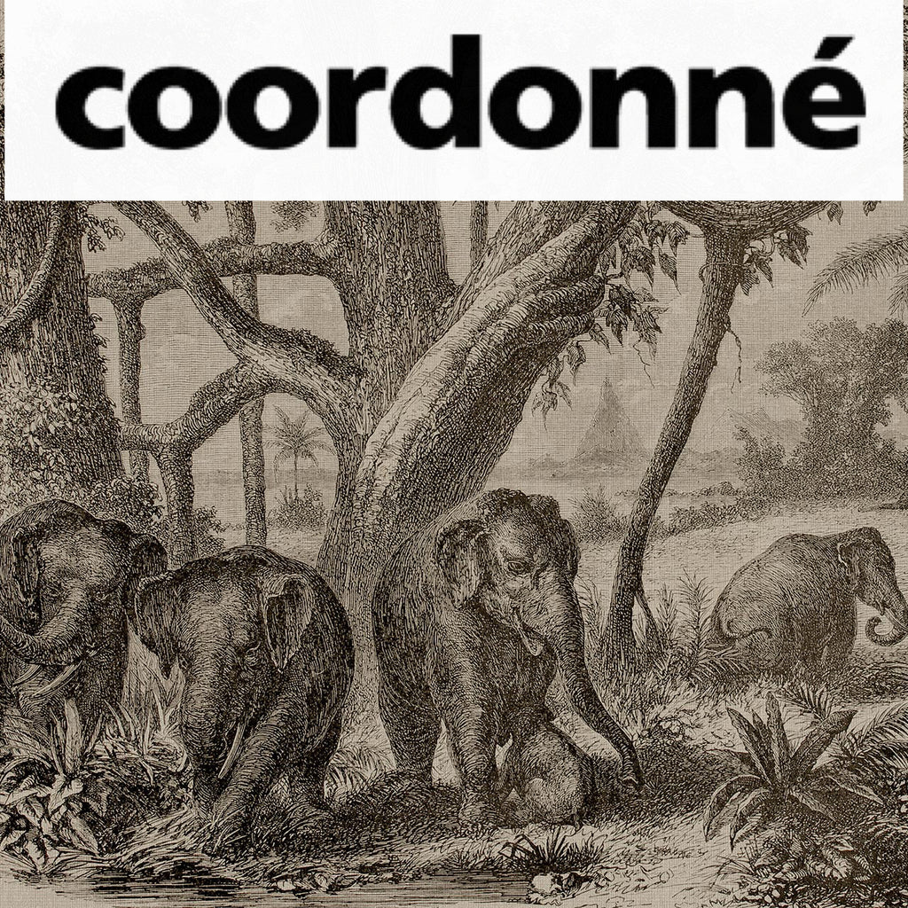 Elephants in the Jungle