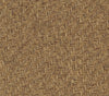 Monterey Grass