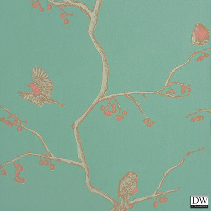 The English Robin - Parchment