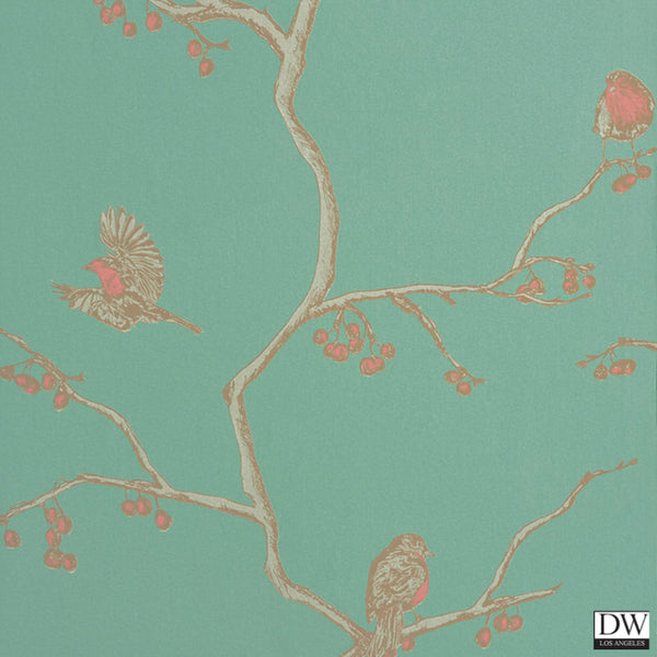 The English Robin - Parchment