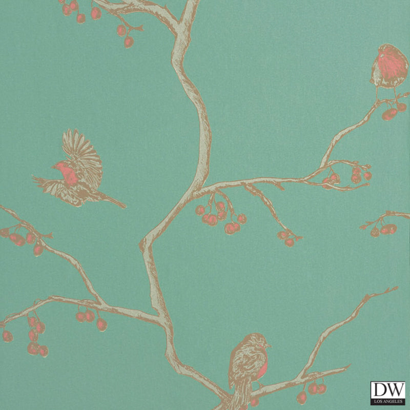 The English Robin - Parchment