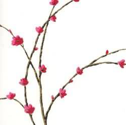 Cherry Blossoms WallcoveringCherries - CloseUp