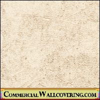 Peter's Plastered Walls