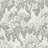 Exclusively at Designer Wallcoverings and Fabrics