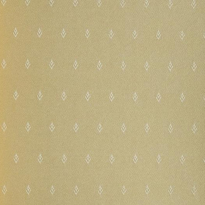 Luxuria Khaki | Phillipe Romano