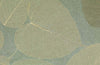 Rika Real Leaf Wallpaper | Phillipe Romano