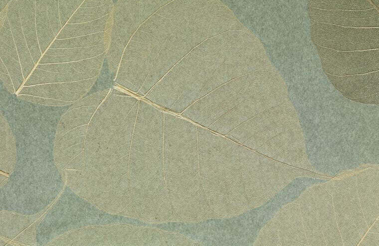 Rika Real Leaf Wallpaper | Phillipe Romano