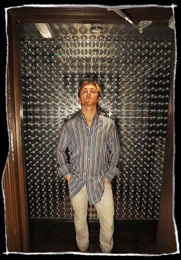 Dino's Dance Party - 3D Reflective  Wallcovering