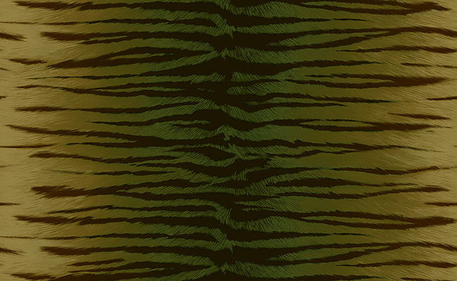 Carlos Cheetah Wallpaper