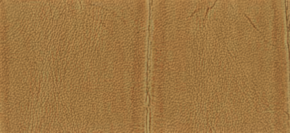 Gator Faux - Faux Alligator - Birch