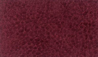 Urthfriendly TwoTone������ - Non-Pvc - RedBerry