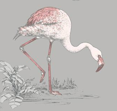 Flattering Flamingo Grey | Traditional Whimsy