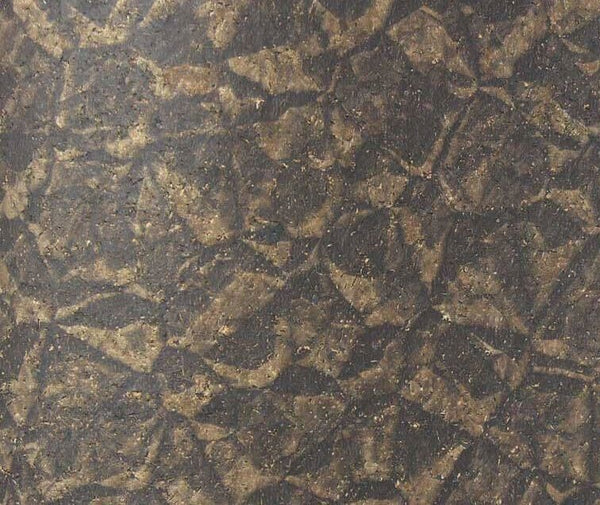 Bella Genoa Cork Print | Phillipe Romano