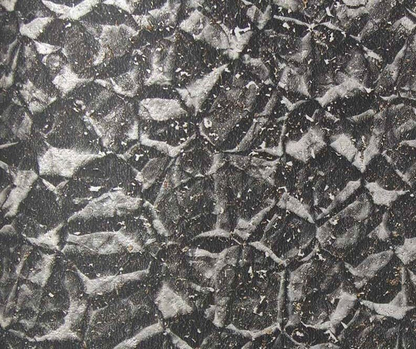 Bella Genoa Cork Print | Phillipe Romano