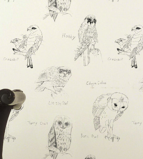 Edwin Collins Owls Architectural Wallcovering