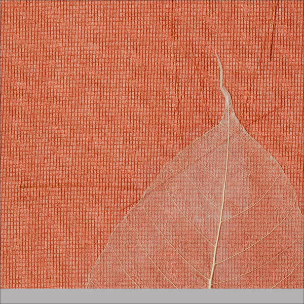 Trumpe Hand Painted Wall Paper