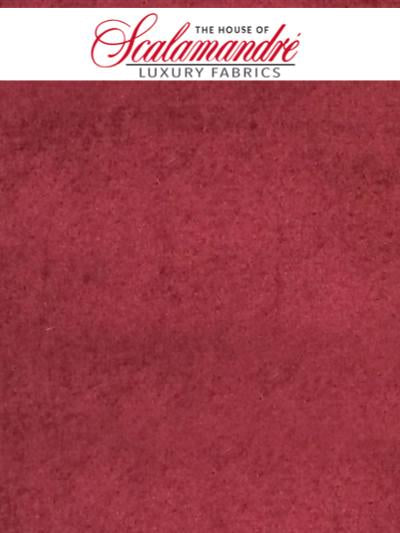SUCESSO - SIRAH - FABRIC - A9SUCE-018 at Designer Wallcoverings and Fabrics, Your online resource since 2007