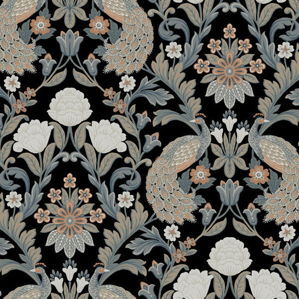 Plume Dynasty Black | Ronald Redding