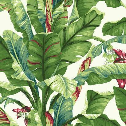Banana Leaf Wallpaper | Jeffrey Stevens