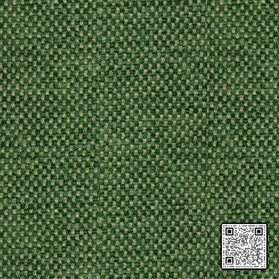  YORKE CHENILLE COTTON - 50%;RAYON - 50% GREEN   UPHOLSTERY available exclusively at Designer Wallcoverings