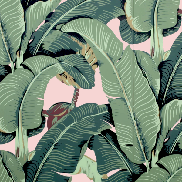 The Iconic Beverly Hills™ Banana Leaf Wallpaper - Brentwood Blush - Designer Wallcoverings and Fabrics