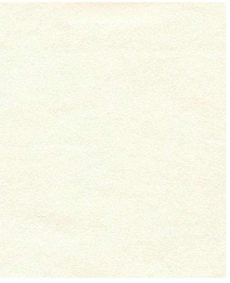 Fentucci Faux Suede - Upholstery and Wallcovering