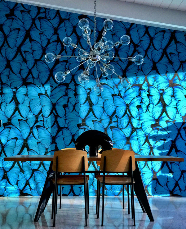 Blue Butterfly by Flie Paper