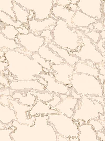 Marble - Botticino Wallpaper | Scalamandre 