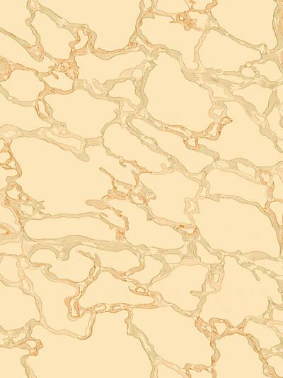 Marble - Calacatta | Scalamandre